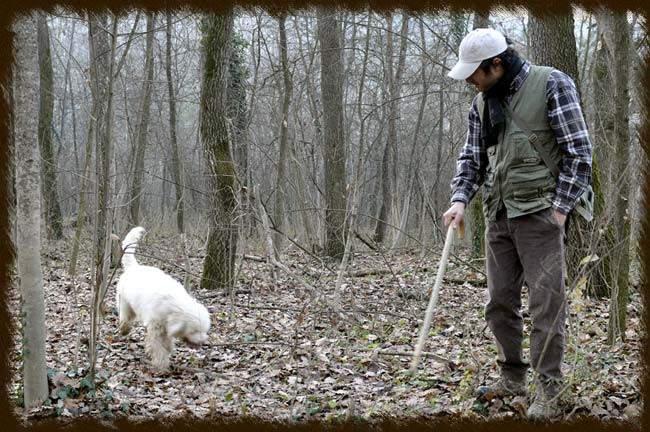 Trip Details Friends, Food, Wine, and Truffle Hunting Dates: November 13 20, 2016 Estimated Price: $4,195/Person (Double Occupancy) $5,495/Person (Single Occupancy) Trip begins/concludes: Milan,