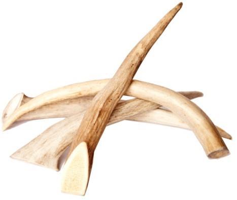 Our antlers come in two display types, a hanging header card, and a bulk type cigar band. We also have a display rack available for both types of antler.