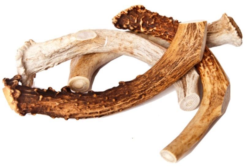 Antlers are full of the vitamins and minerals that dogs need, such as Iron, Phosphorus, Calcium, Magnesium, Potassium and Zinc.