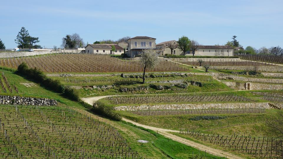 BY ANTONIO GALLONI APRIL 25, 2017 2016 Bordeaux: It s Now or Never, Baby The 2016 growing season presented château owners with plenty of challenges, but ideal weather at the most critical time of the