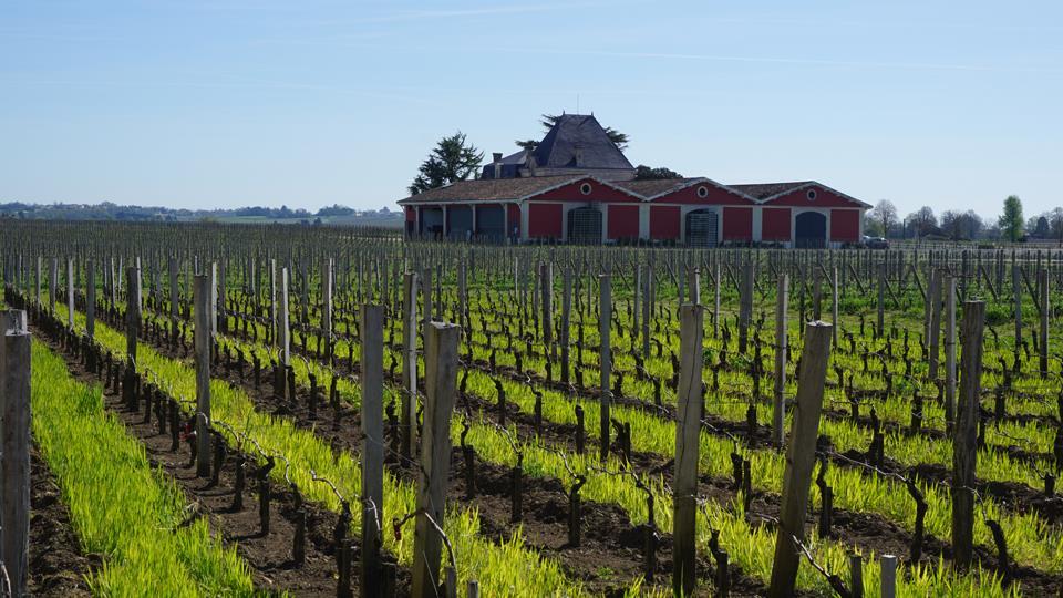 L Evangile as seen from La Conseillante, Pomerol Pessac & Léognan Reds The theme of brightness, elegance and finesse carries over the communes of Pessac and Léognan,