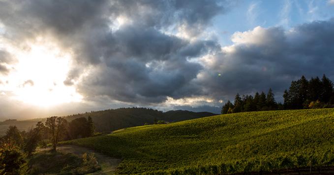 Willamette Valley nominated by Wine Enthusiast as region of the year!