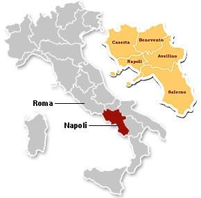 THE VINES Struzziero has Aglianico, Greco di Tufo, Fiano di Avellino, Falanghina, Merlot, Coda di Volpe, Piedirosso. Aglianico This grape was introduced by the Greeks.