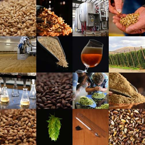 PRODUCT GUIDE VOLUME 2 Welcome to BSG Canada Greetings, BSG Canada has been producing and distributing brewing products to Canadian markets since the early 1990s.