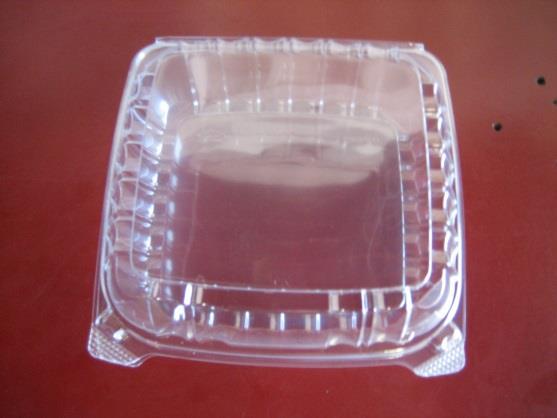 9 ¼ SANDWICH CONTAINER 205HT1 100/400CS CLEAR