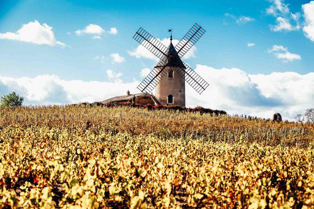 SUN, APR 15 DAY 7 BEAUJOLAIS Travel through picturesque villages and learn about the terroir and wine appellations of Beaujolais.