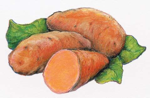 Sweet Potatoes Keep You Sweet potatoes bright orange color is a good indication that they contain a lot of the important antioxidant beta-carotene, which studies say might help prevent cataracts.