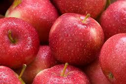 Horse is a greenish-yellow apple ripening July to August while Haas is a red apple ripening in September or later.