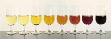 The different levels of alcohol determines the future ageing of sherry inside