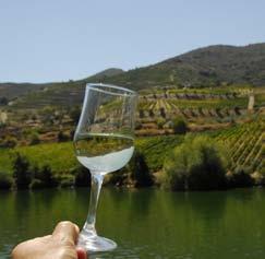 GROUP TOURS Douro Wine Tours Douro Wine Tours The Douro Wine Region is an amazing example of a traditional wine-producing region, famous not only for its Port wine, but also for its