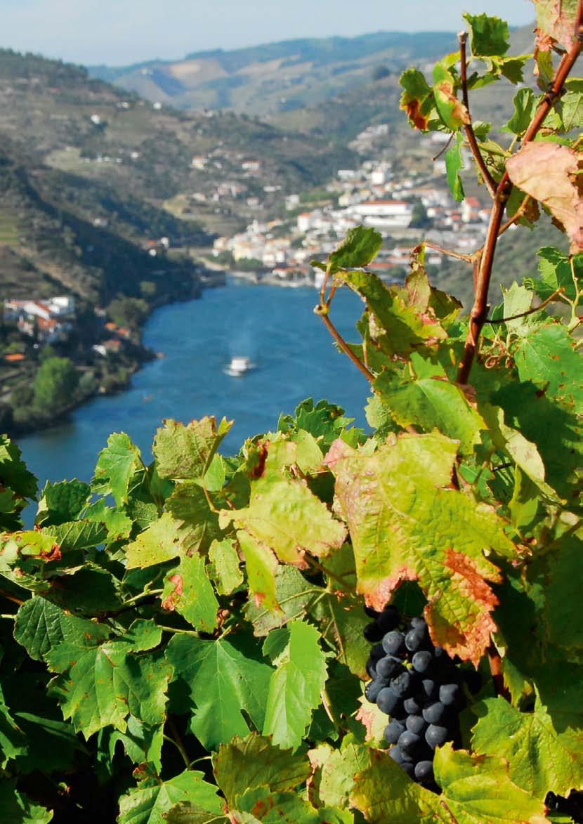 PORTO INCENTIVES Special Dinners Wine Experiences Vintage Tram Tours