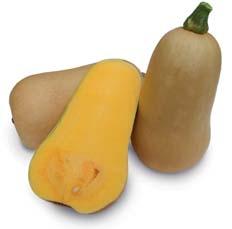 SQUASH SEEDS Depending on environmental impact, the genetical range of variation of the