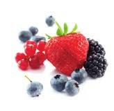 Coulis 1kg 10kg 500g red fruits Blackberry 100% Black cherry Blackcurrant Blueberry Cranberry & Morello cherry Mara des bois