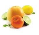 orange zest, natural extract of bergamot) Fruits of the sun (orange, pink grapefruit, blood orange, kalamansi) 100% Kalamansi 100 % Lemon Lemon without added sugar 100% lime 100% Mandarin Mandarin