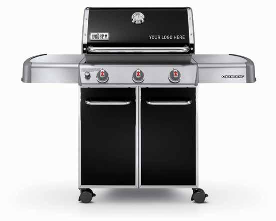 2015 GIFTS AND PRIZES GENESIS GRILLS The Genesis gas
