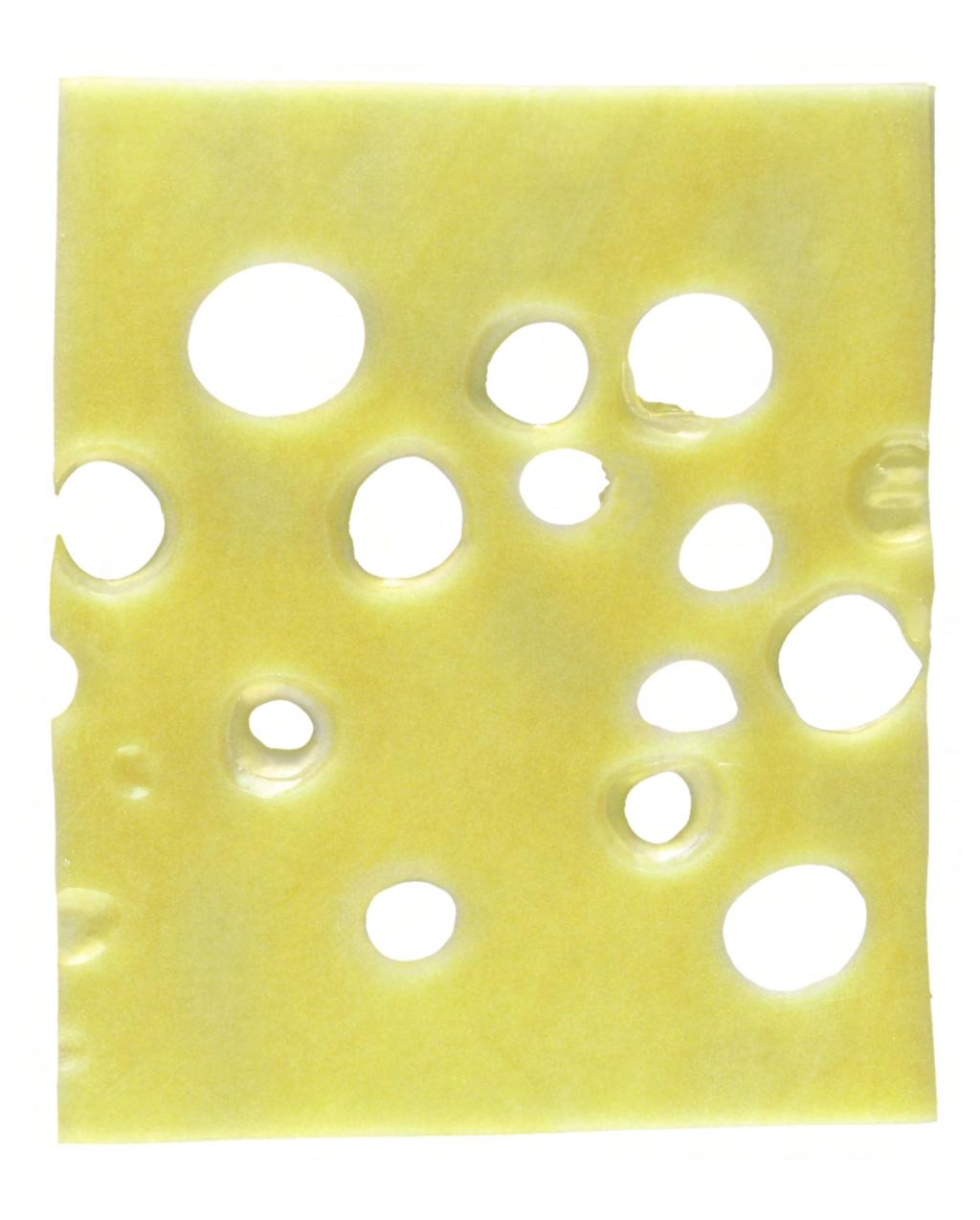 58 E O D Y WH CHEEE I W HOLE? E V HA T he holes in wiss cheese come from bacteria that helps turn milk into cheese.