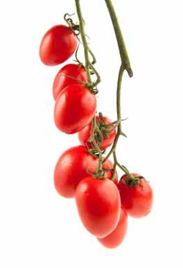 preserving food in Wyoming Standard Tomato Ketchup 24 pounds ripe tomatoes 3 cups onions, chopped ¾ tsp ground red pepper (cayenne) 3 cups cider vinegar (5-percent acid) 4 tsp whole cloves 3 sticks