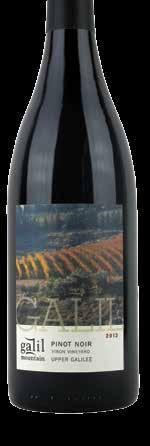 Upper Galilee Pinot Noir, Yirom Vineyard Galil Mountain From a high elevation vineyard in the northernmost
