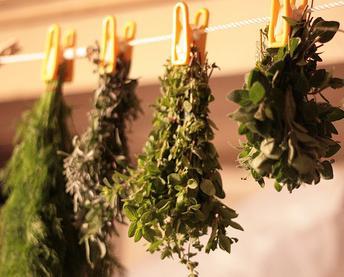 Drying Herbs Drying is the easiest method of preserving herbs. Simply expose the leaves, flowers or seeds to warm, dry air. Leave the herbs in a well ventilated area until the moisture evaporates.