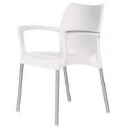 Aluminum & Plastic Chair
