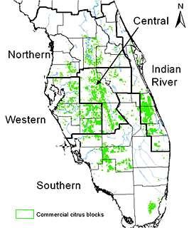 Hurricanes and spread of citrus canker 8/13/04 Charley