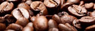 The most commonly known sources of caffeine are coffee and cocoa beans, guarana, and tea leaves.