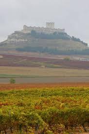 The region is characterised by a largely flat, rocky terrain and is centred on the town of Aranda de Duero, although the most famous vineyards surround Peñafiel and Roa de Duero to the west, where