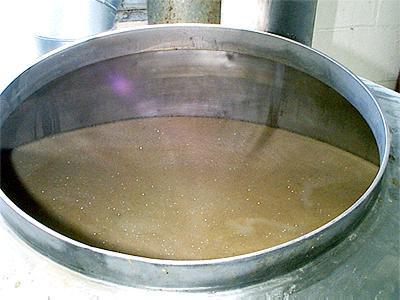 the Wort separation.