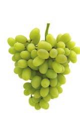 Grapes For Health Polyphenols and Heart Health Many fruits and vegetables contain polyphenols, including grapes.