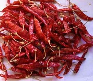 finds usage in indigestion, anorexia, burning sensation, debility, asthma, Cayenne pepper (Lal Mirch)- is a spice made from the seeds of plants in the capsicum family (ranging from sweet pepper to