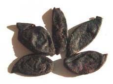 Cloves (Luong) - small, dried, reddish-brown flower bud of the tropical evergreen tree of the myrtle family.