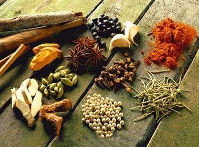 Zykaa, exporter of Indian spices Zykaa, are supplier and exporter of Indian spices, both, whole and grounded spices, spice oils and spice products, supplies and prices are competitive.