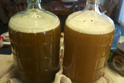 Fermentation Do not waste the beer Follow good cleaning and sanitation practices