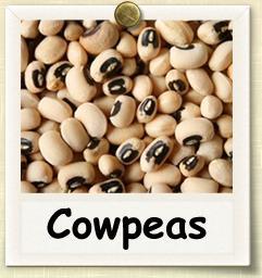 Black-eyed peas or cow peas, Vigna unguiculata, originated in Africa.