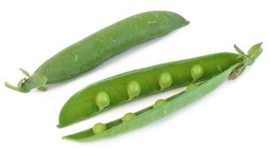 Peas (Pisum sativum) Peas actually a variety of different kinds. Green peas, lentils, black-eyed peas, chick peas, snow peas.
