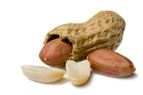 Peanut - Arachis hypogea Also called goobers and