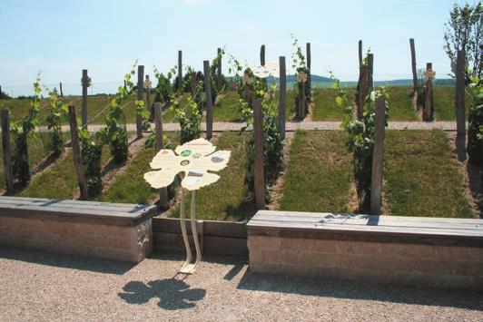 Many gardens have been created since then, The Vine Gardens help to reconnect with the