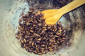 Innovation Insects Cricket protein Powder has been launched by Mophagy and Nutribug FlySpArk