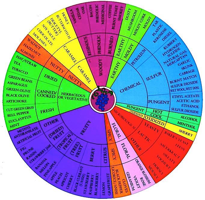Figure 4 Wine aroma wheel developed by Noble et al. (1984). The sensory wheel is usually made up of different tiers, with the outer tier giving a broad description of the attributes.