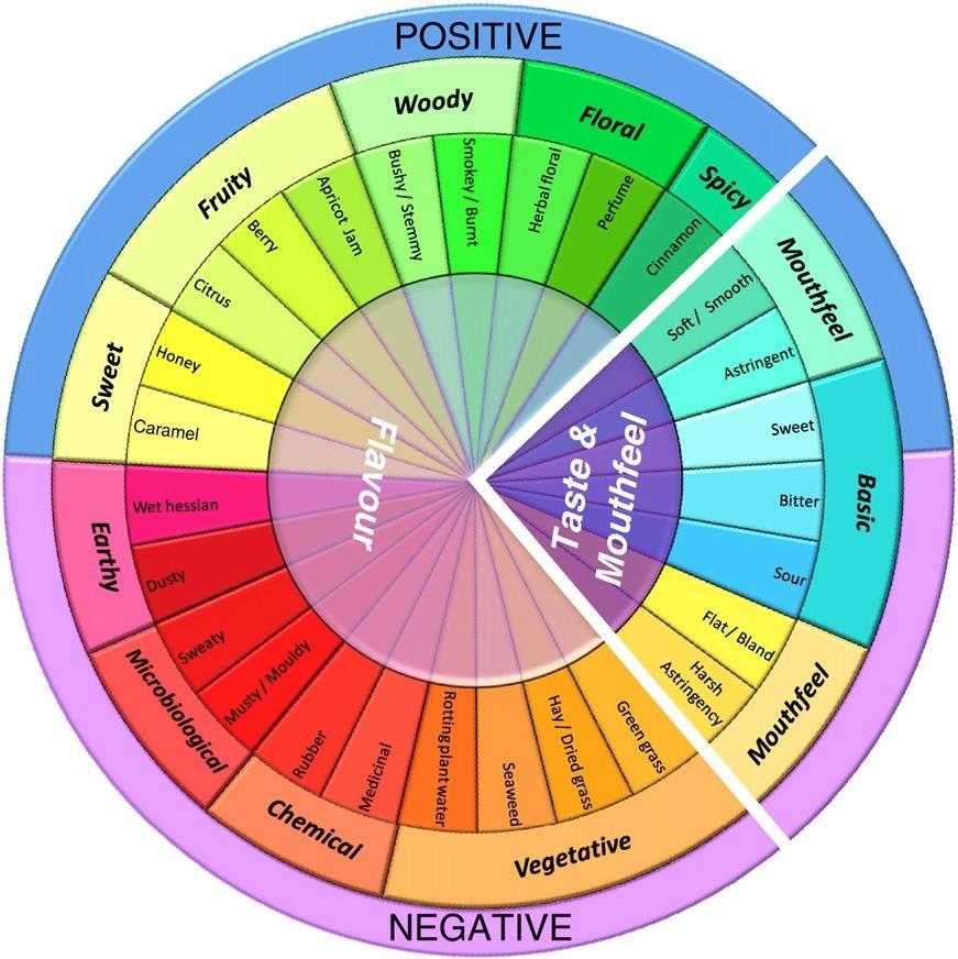 Figure 6 Rooibos sensory wheel including 27 terms, developed after the sensory analysis of 69 rooibos samples (Koch et al., 2012). 2.6. Sorting technique as alternative to DSA The sorting technique has been suggested as a rapid replacement method for the mapping of sensory data (Cartier et al.