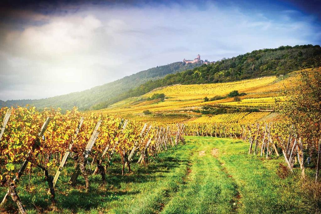 Champagne The most famous sparkling wine region in the world contains some of the most renowned wine producers.