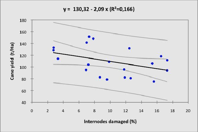 Table 5 Comparison of yield and quality as functions of borer damage using the general linear model analysis.