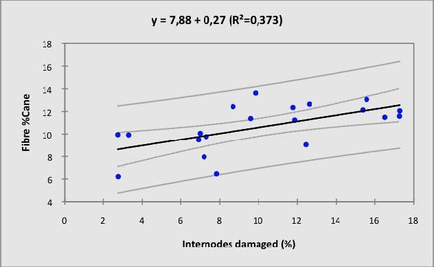 Fig. 3 Relationship between stemborer damage