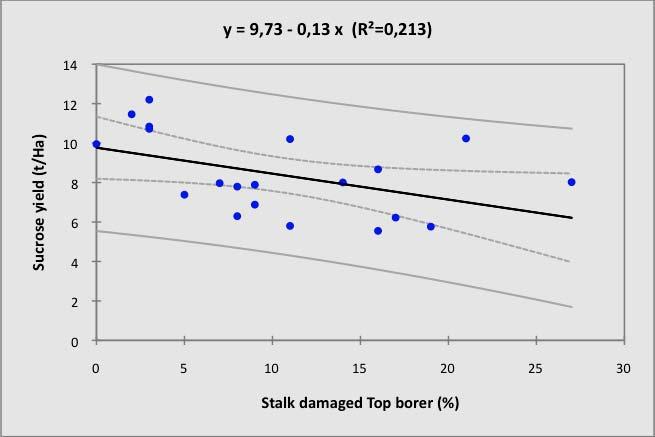 Fig. 5 Relationship between top borer damage and sucrose yield (confidence interval= 0.95%). Fig. 6 Relationship between top borer damage and fibre content (confidence interval= 0.95%). Discussion Two types of impact of borers on the yield components have been highlighted in this trial.