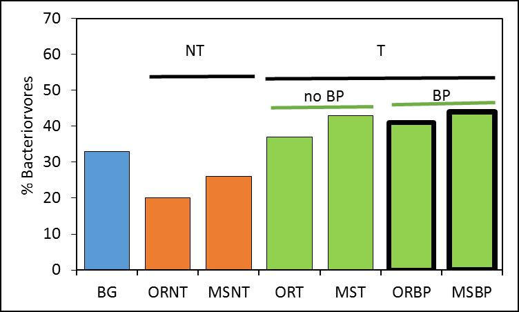Biofumigation effects of oil radish and mustard on nematodes 1) ORT=oil radish + weed