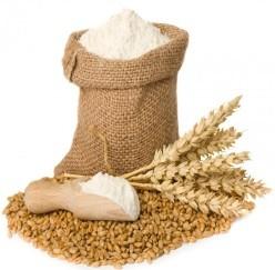 type 0 - Medium Strength - (Suitable for Making Bread) Soft wheat flour type 00 - (Suitable for Pizza, Buns