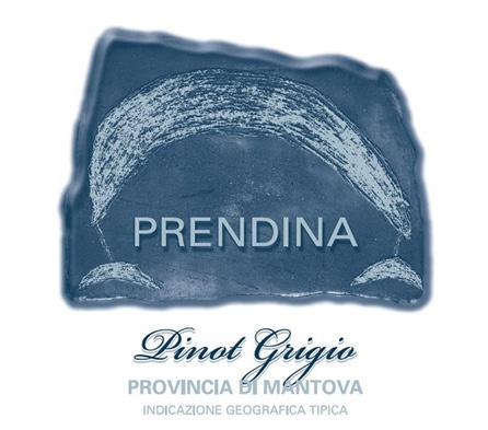 Pinot Grigio Provincia di Mantova IGT Appellation: MANTOVA IGT Cru: Casina/Prendina Vineyard extension (hectares): 25 Blend: 100% Pinot grigio Vineyard age (year of planting): Pinot grigio 1980,2000