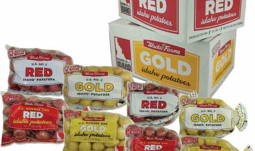 Produce Showcase WADA FARMS RED AND GOLD POTATOES RED With rosy skin and white flesh, red-skinned potatoes have a firm, smooth, moist texture well-suited for salads, roasting, boiling and