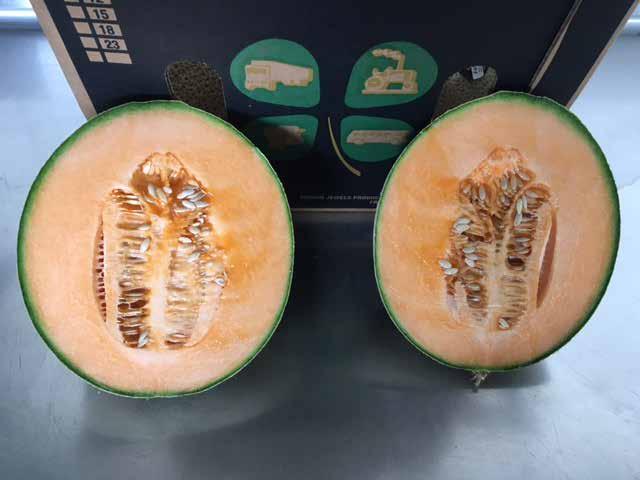 Melon (Cantaloupe) Cantaloupes continue in full swing in California. As noted last week the desert regions will be starting in late October. Quality remains very good.