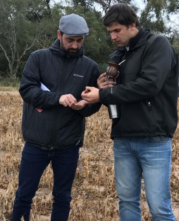 Right, Roman Kutnowski (USDBC) with Nicolas Casal (Agronomist for Seiler farms) in dry bean fields in the Southern growing region. 3.1 